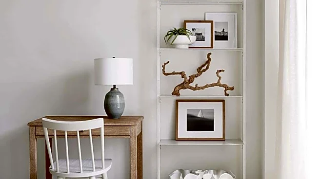 Driftwood: The decor element everyone's raving about
