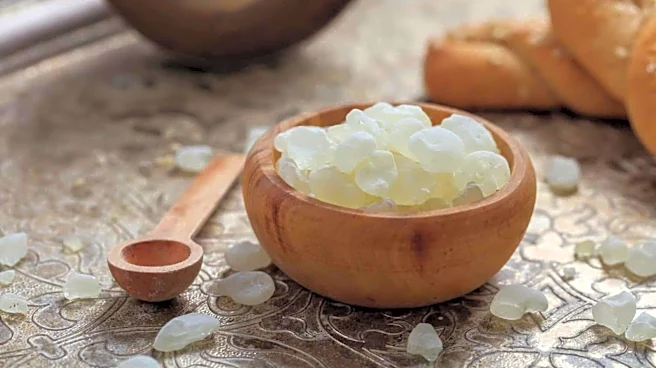 Mastic gum: Amazing health benefits of this natural resin