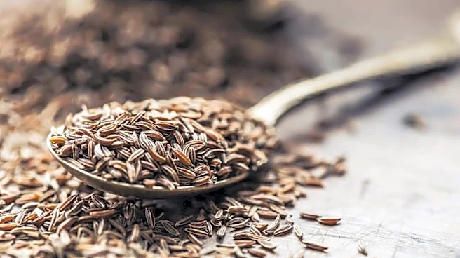 Poor digestive health? Try caraway seeds