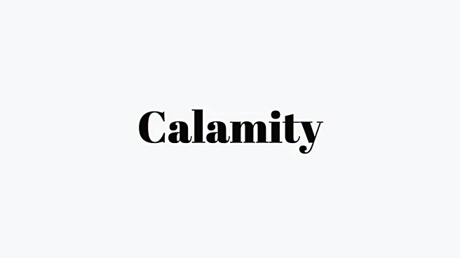 Word of the Day: Calamity
