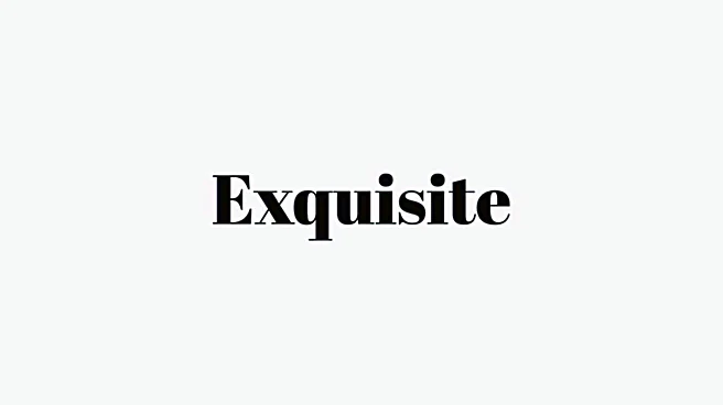 Word of the Day: Exquisite
