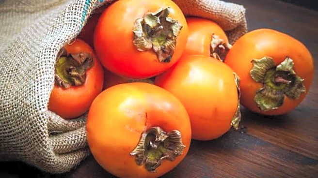 Why persimmon peel deserves your attention