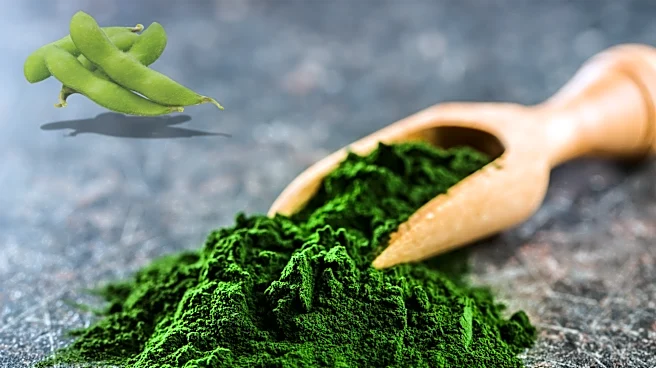 Chlorella: The superfood you didn't know you needed