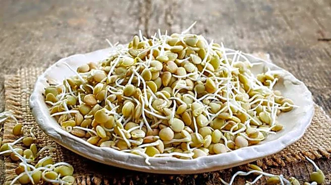 Supercharge your mornings with sprouted lentils