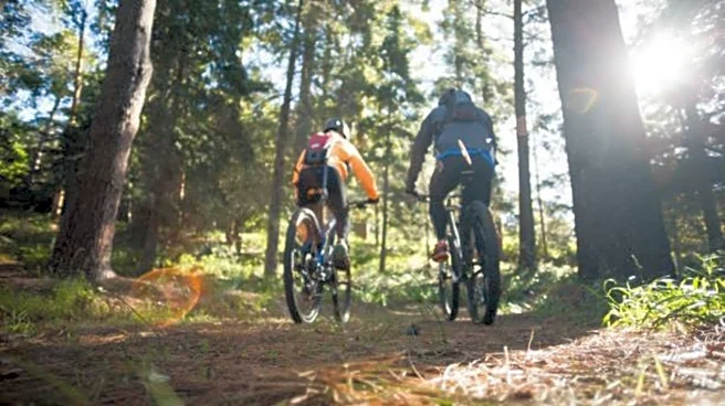 Cycling enthusiasts, this ride is anything but ordinary