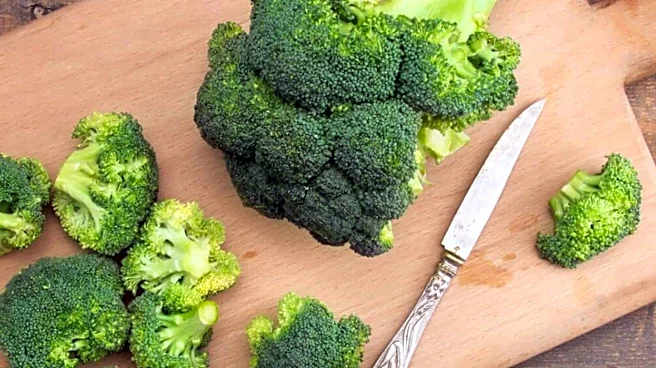 Love broccoli? You'll enjoy these 5 dishes