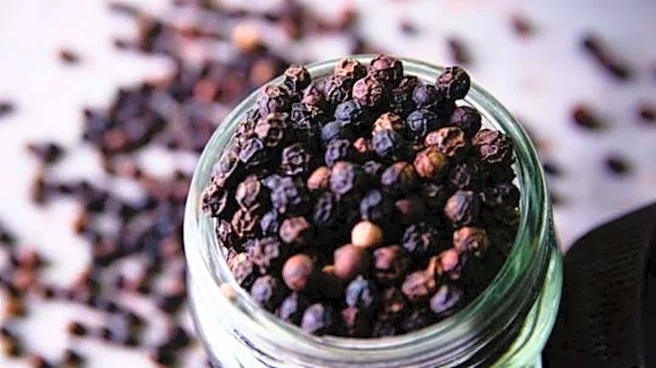 Surprising health benefits of black peppercorns