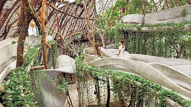 What is biophilic design?