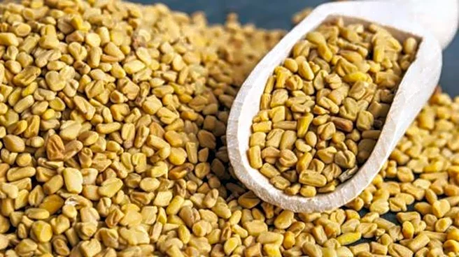 Fenugreek seeds: A spice for better metabolism