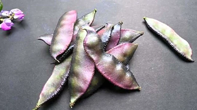 Lablab beans: The lesser-known protein-rich legume