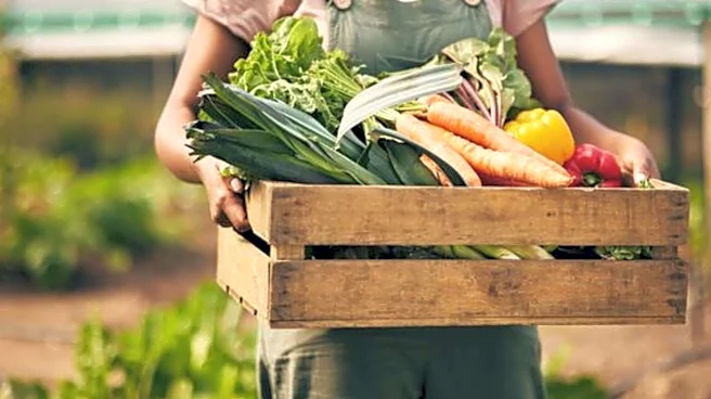 How to shop for organic produce in Africa