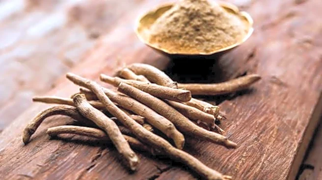 Ashwagandha root: 5 amazing health benefits