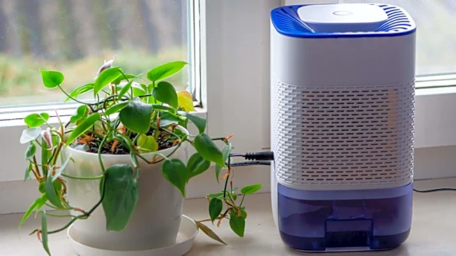How to purify indoor air (on a budget)