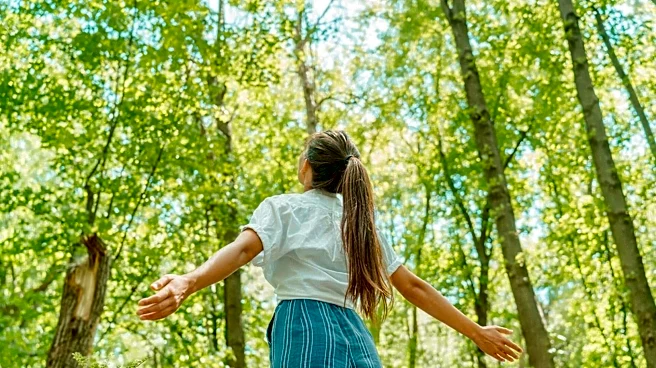 Why nature walks are necessary for everyone!