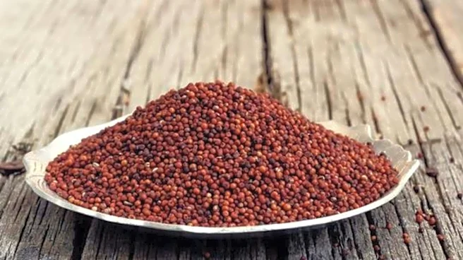 Why health enthusiasts are switching to finger millet