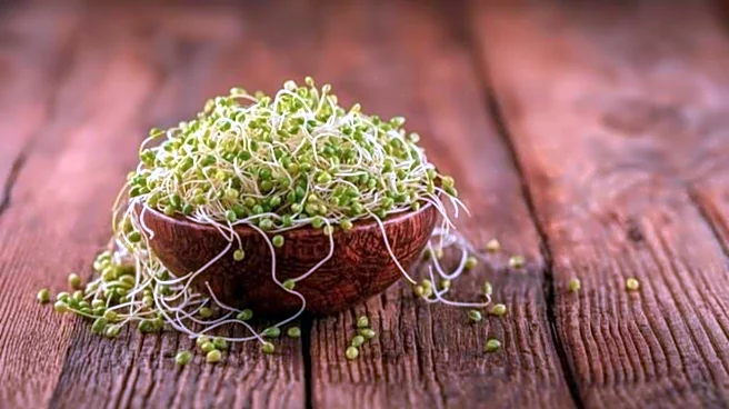 Why you should start eating alfalfa sprouts