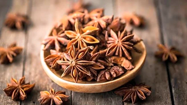 How to use star anise for better health