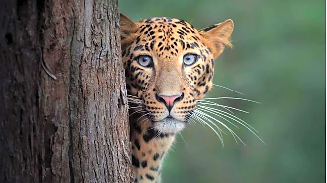 Stressed? Try nature photography