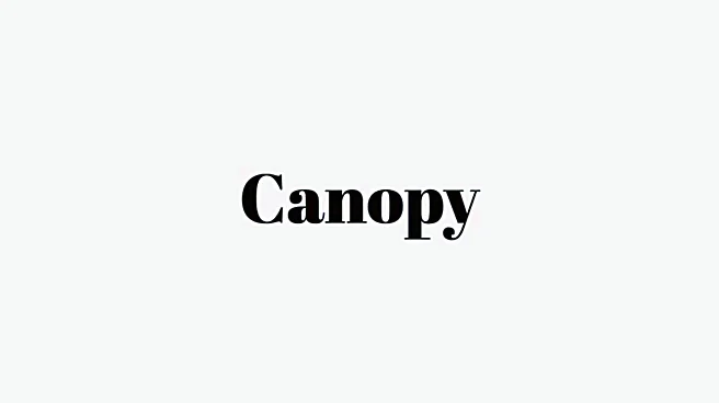 Word of the Day: Canopy