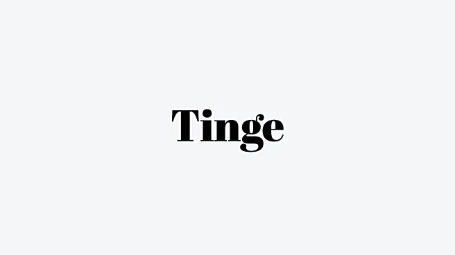 Word of the Day: Tinge