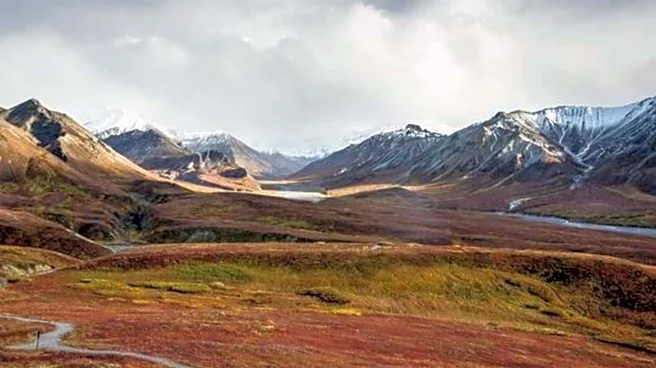 Explore the beauty of Canada's tundra trails