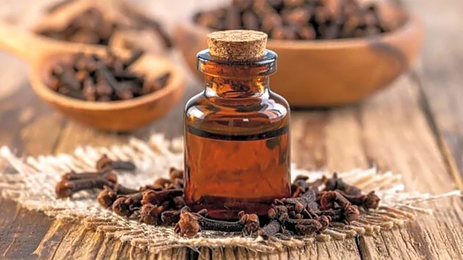 How to use clove oil for better oral hygiene