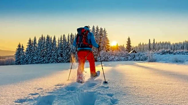 Where to try snowshoeing in Switzerland