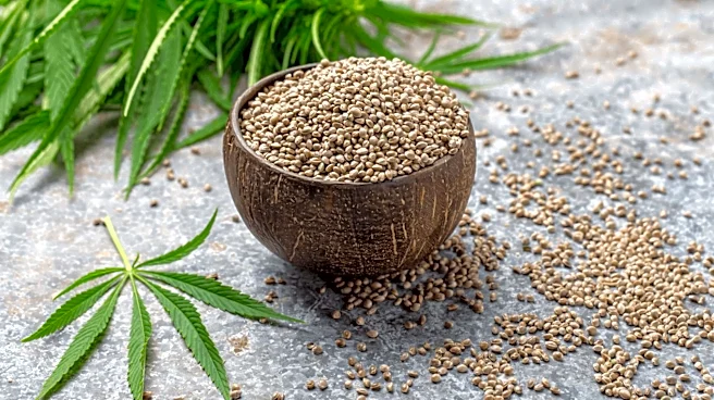 How to include hemp seeds in your meals