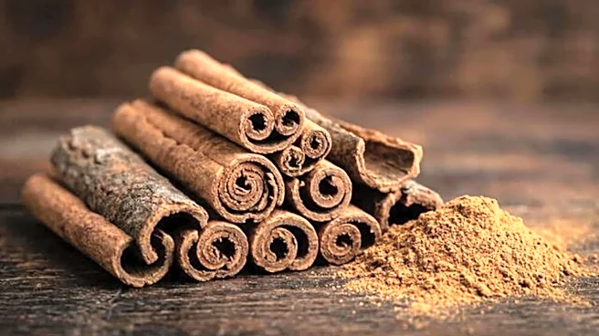 Cassia bark: The aromatic spice your pantry needs