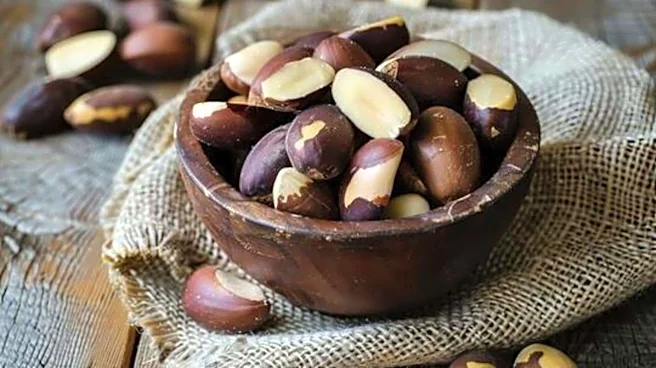 Why you should know about dika nuts