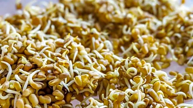 How to add sprouted fenugreek seeds to your diet