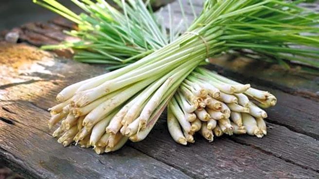 Turn simple dishes gourmet with lemongrass