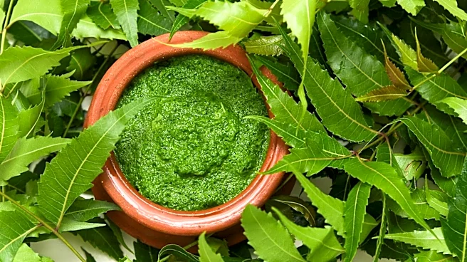 5 ways neem leaves can keep your home spotless