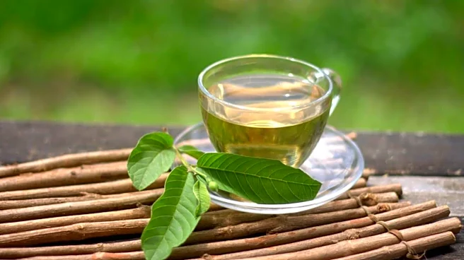 Why you should add guava leaves to your daily routine