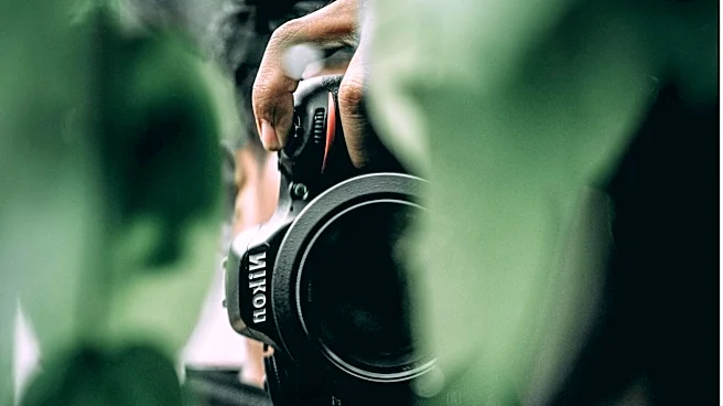 Interested in photography? Follow these legends