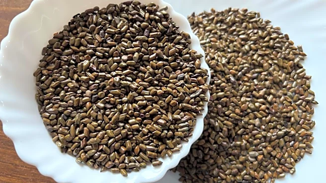 Cassia seeds: The superfood you probably didn't know about