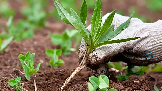 To enhance your well-being, try gardening or sailing