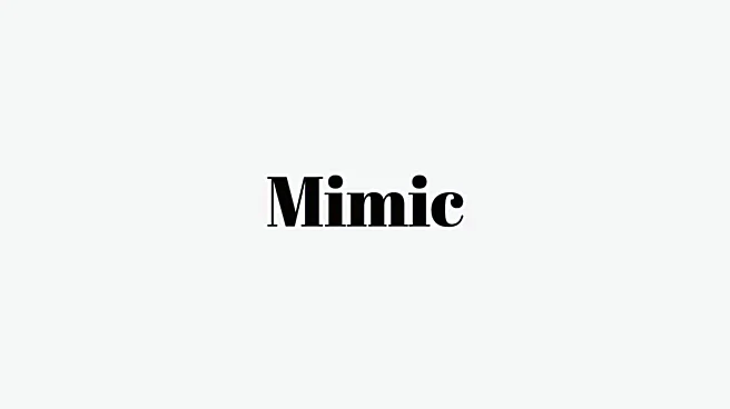 Word of the Day: Mimic