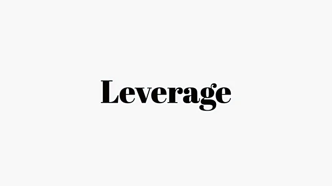 Word of the Day: Leverage