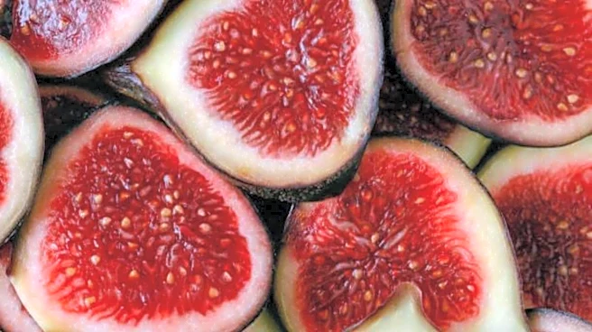 How to enjoy figs for a nutritious morning meal