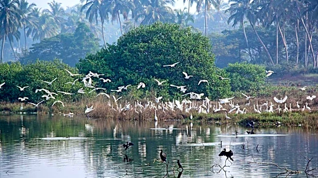 The many amazing benefits of bird-watching hikes