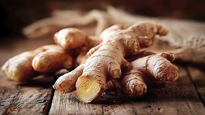 How to grow ginger in water