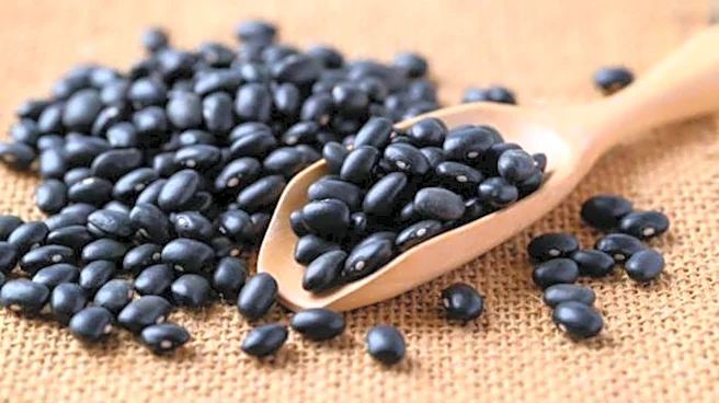 5 vegetarian dishes using black beans