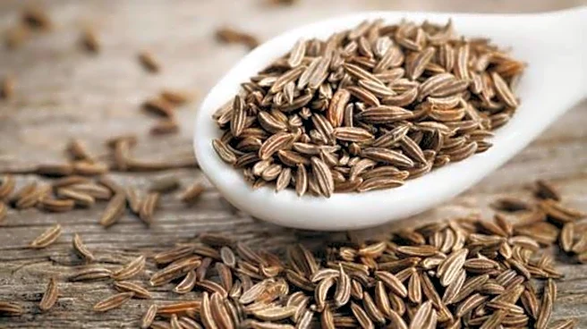 How to grow caraway seeds at home