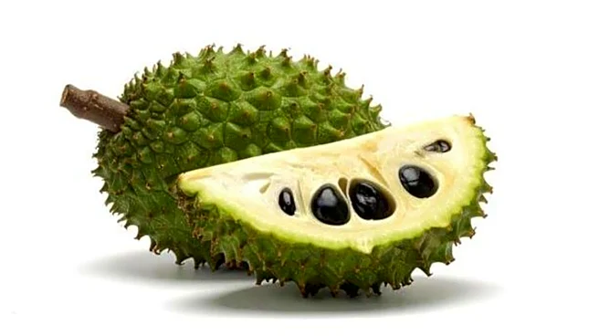 Soursop: An exotic fruit full of goodness