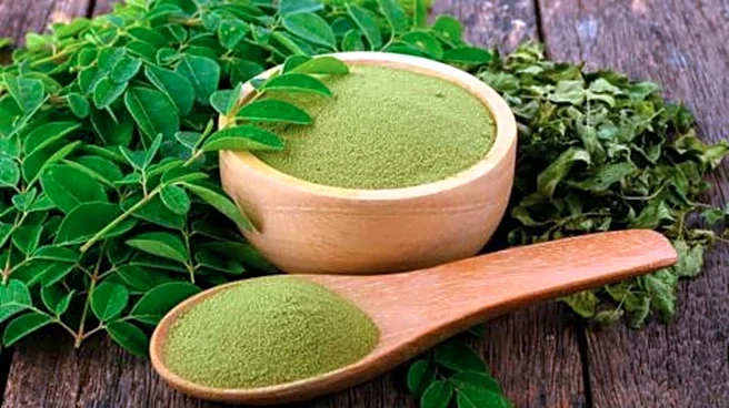 Moringa root: A natural alternative to painkillers