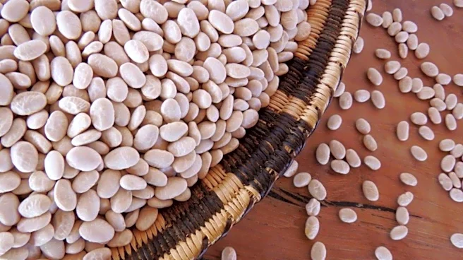 How to cook with tepary beans