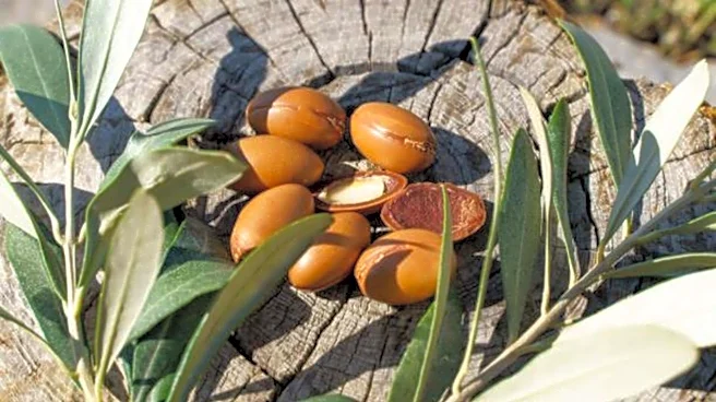 Argan nuts: Nutrition, uses, and more