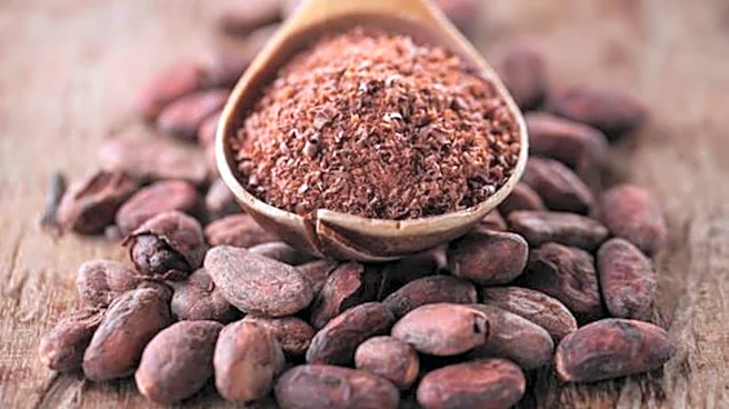 Why you should add cocoa beans to your diet