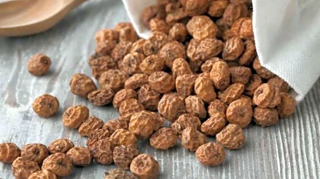Why tiger nuts are becoming a go-to healthy snack